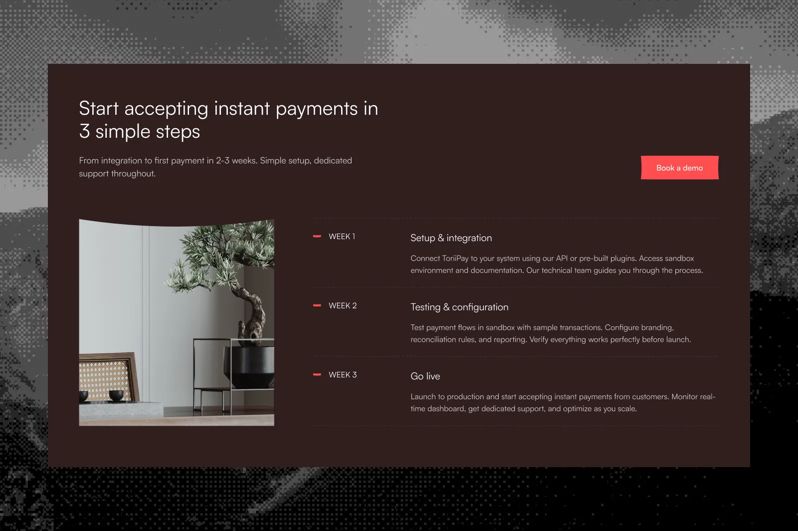 ToriiPay: start accepting instant payments in three simple steps